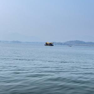 沧海头像