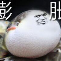 动画师LU头像