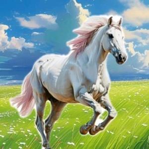 白馬飛焉头像