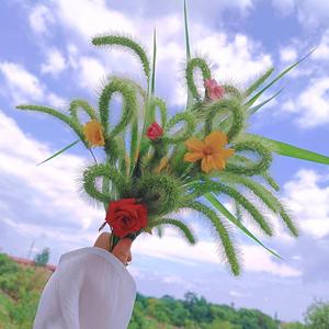 沉着西柚XuT头像