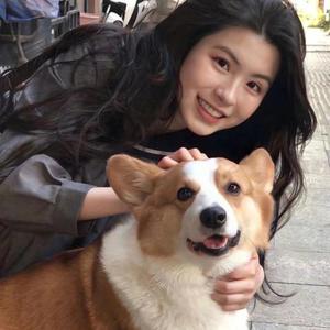 温暖萌宠乐园头像