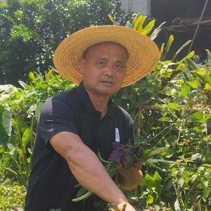 春暖花开7056940200774头像