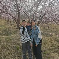 极速费ying头像