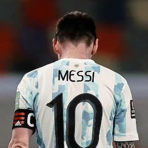 梦想拥有海豹 头像