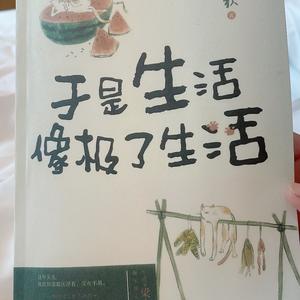 知情达理船帆o1头像