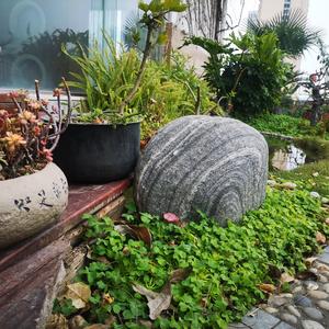 爽朗风追云头像