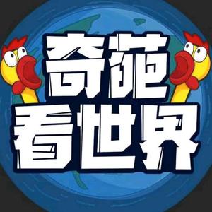 智者扑克57头像