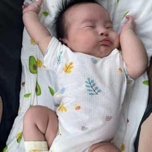 小林Baby吖 头像