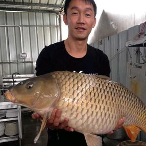 鱼塘脆鲩火锅农庄头像
