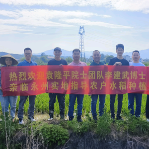 中和农信琴妹头像
