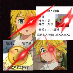 我是朱小王 头像