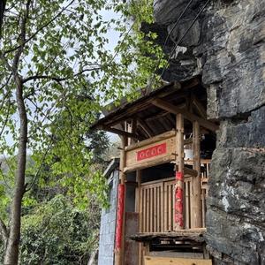 乡野志刚头像