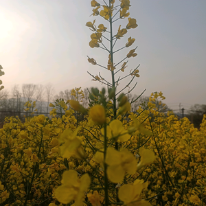 郑家人头像