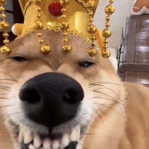 肝画魔头像