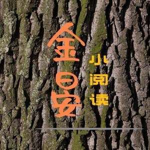 金晏头像