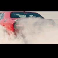 愤怒蜜蜂Bee头像