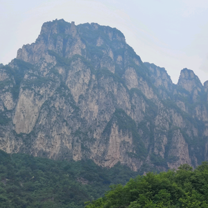 高丰不疯头像
