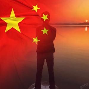 苏北之枫头像