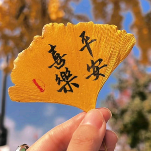 我愿你一生桀骜不驯头像