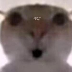 我是偷吃的鼠鼠头像