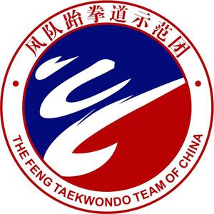 风队跆拳道示范团头像