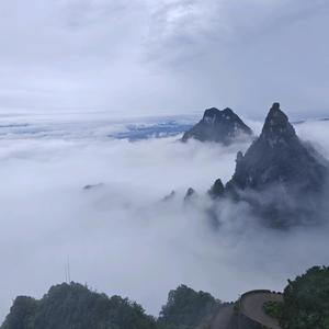 sl水滴w头像