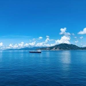 海上绿萝头像