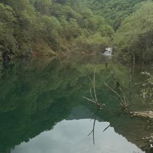 清馨1头像