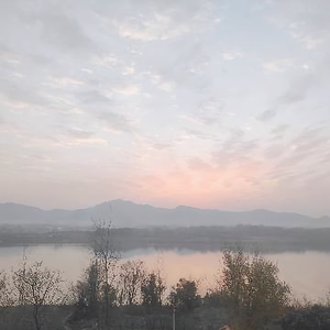 自由自在的泉水头像