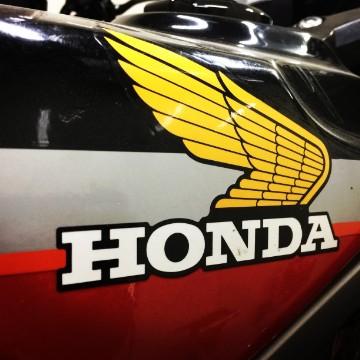 TA极速暴走头像