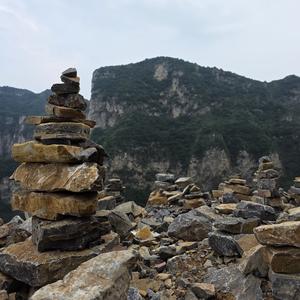 震能量头像