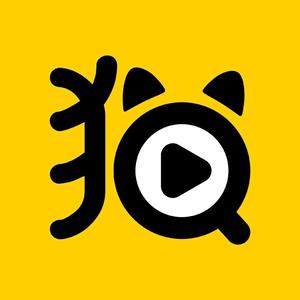 探影猫头像