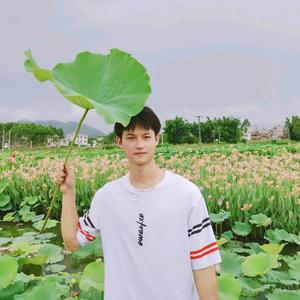 我是小泽头像