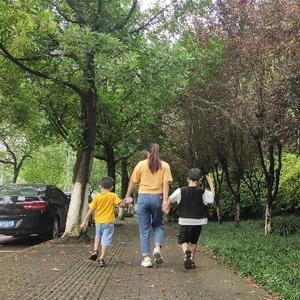 河南豆子哥头像