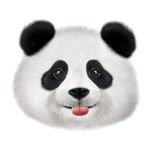 熊猫第一频道头像