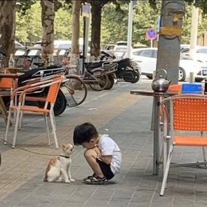 见识君 头像