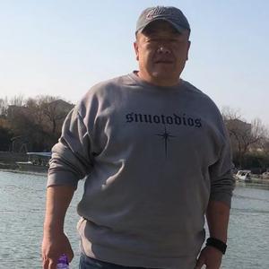 罢酒颜欢头像