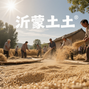 沂蒙土土头像