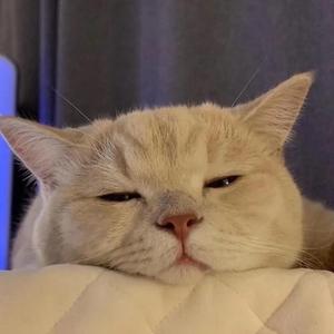 矜鸠醉意不在酒头像