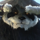 A熊貓人A头像