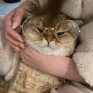 郑阿噗头像