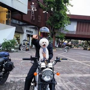 卡佩迪恩头像