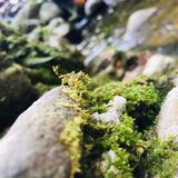 里沐剪视头像