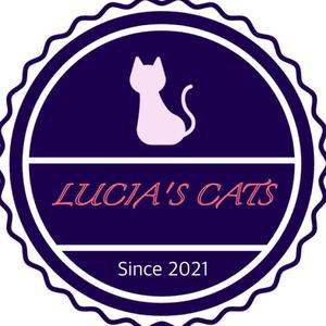 LUCIA布偶猫舍头像