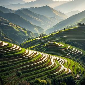 山上奋勇登山的攀登者头像