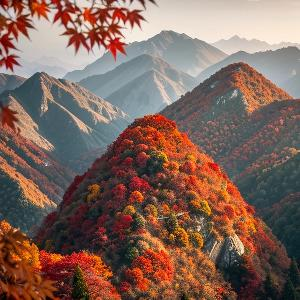 沙漠自在跋涉头像