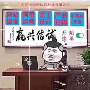 东莞市商朝信息科技有限公司头像