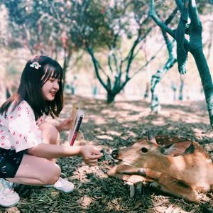 包子老师头像