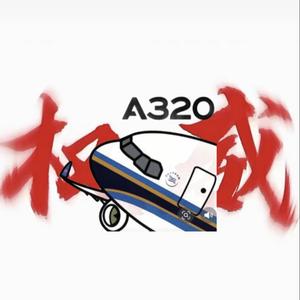 一架刚被修好的320头像