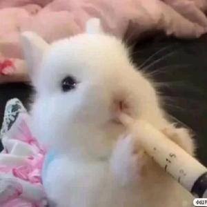 魔法师凌海8D3 头像